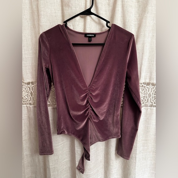 Express Long Sleeve Deep Plunge Velvet Bodysuit - Blush - Picture 2 of 4